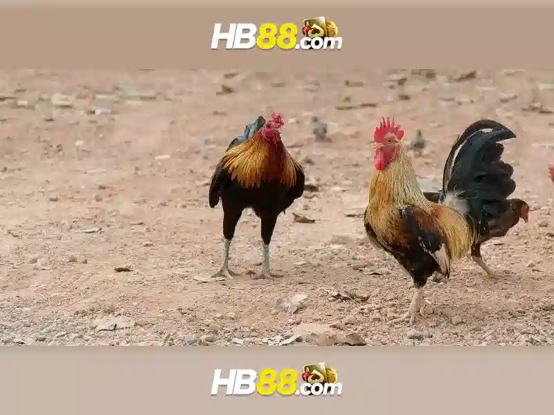 ưu đãi độc quyền