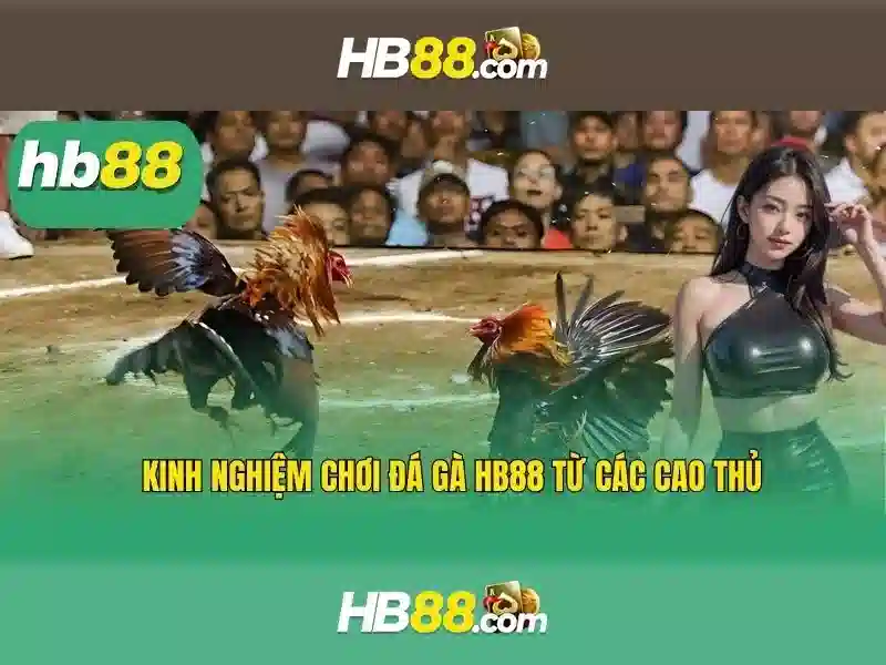 Tại Sao Nên Chơi Slot Tại HB88 2026