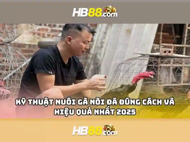 Đa Dạng Trò Chơi Slot Tại HB88