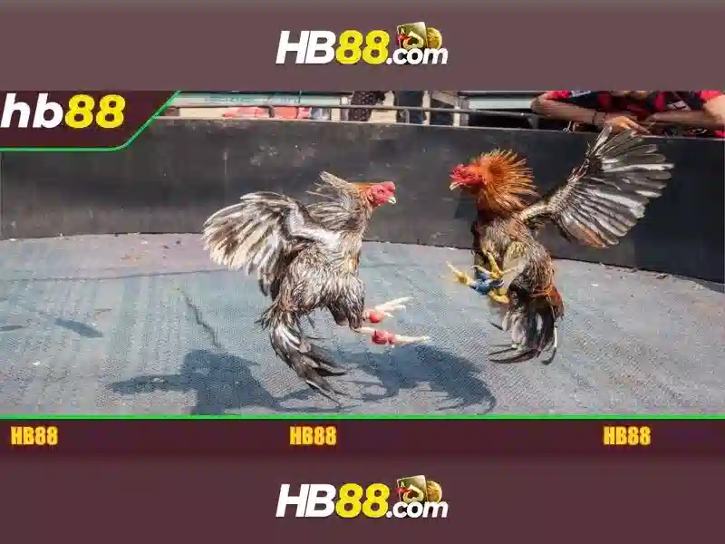 HB88 Club – Cổng Game Slot Đa Dạng