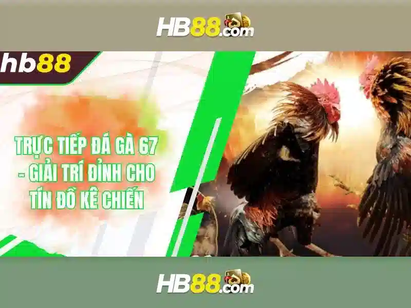 Bảo vệ quyền lợi người chơi HB88
