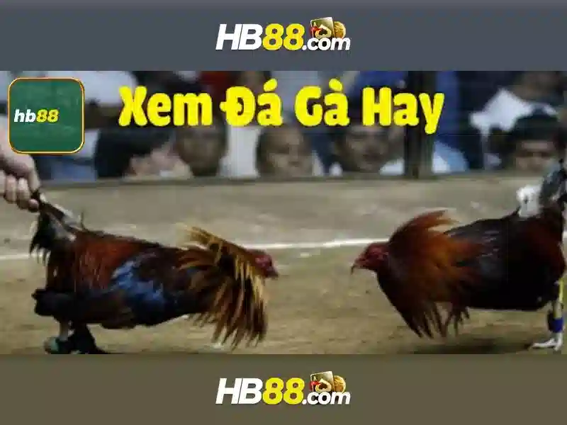 ưu điểm HB88