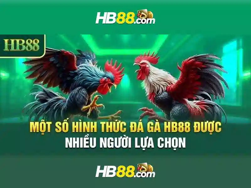 HB88 - Trải Nghiệm Slot Đỉnh Cao Với hb88 com 2026