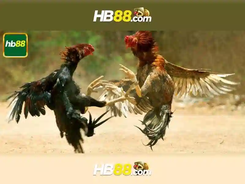 tính năng app hb88