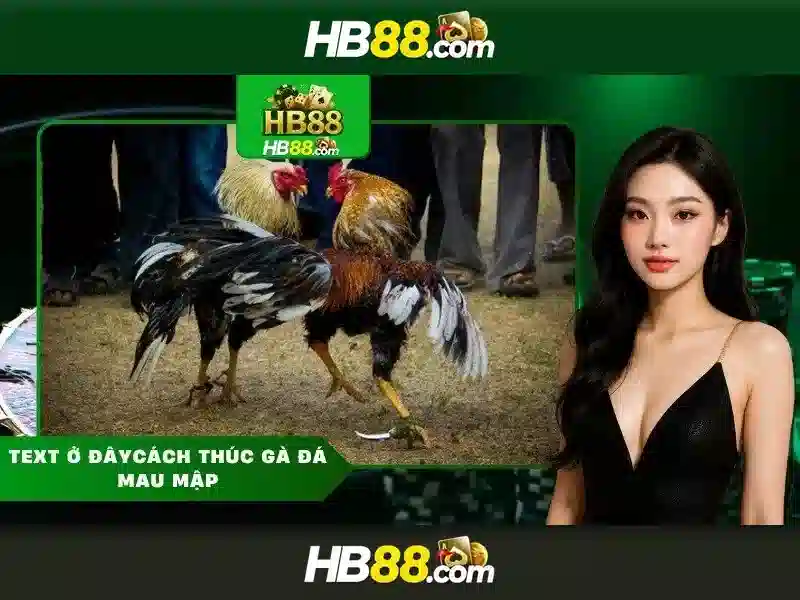 Trải nghiệm cá cược Slot đỉnh cao