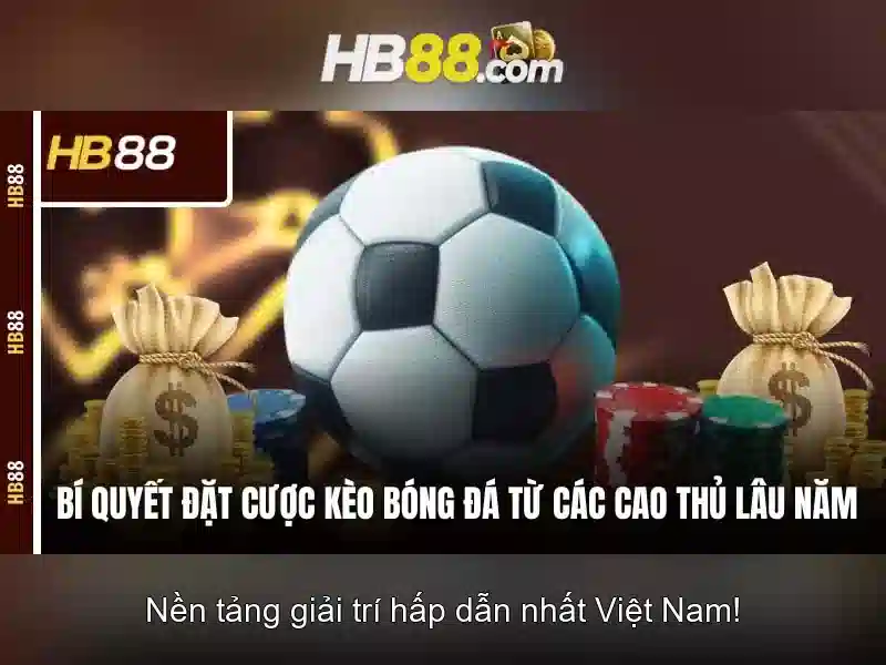 Tải Ứng Dụng HB88