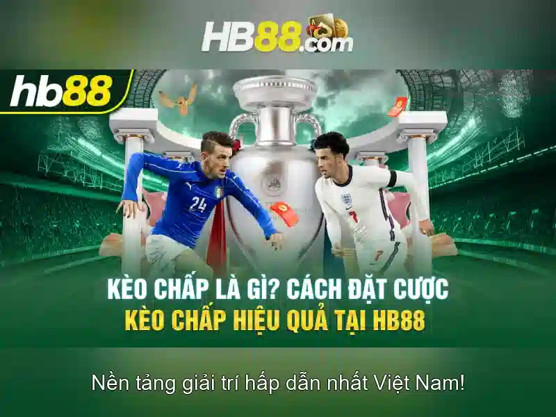 Điều Khoản Sử Dụng HB88