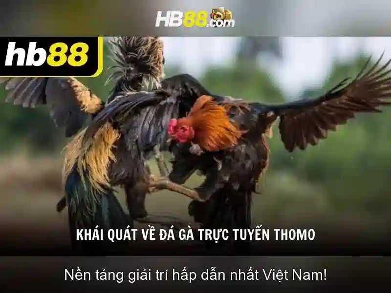 hướng dẫn đăng ký