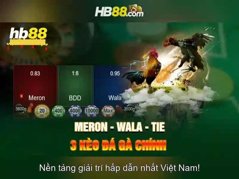 Cách tham gia cá cược