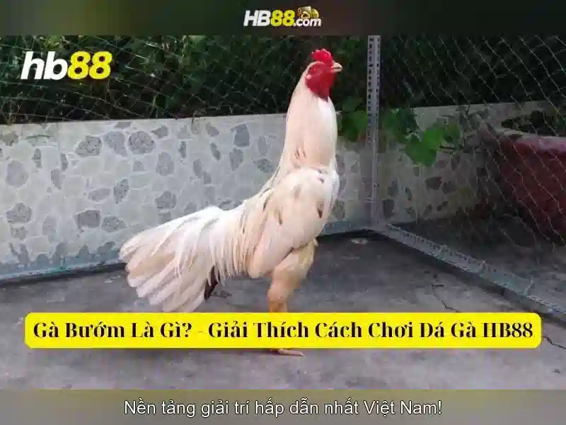 Giao Diện Slot HB88