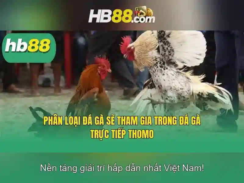 đăng ký hb88