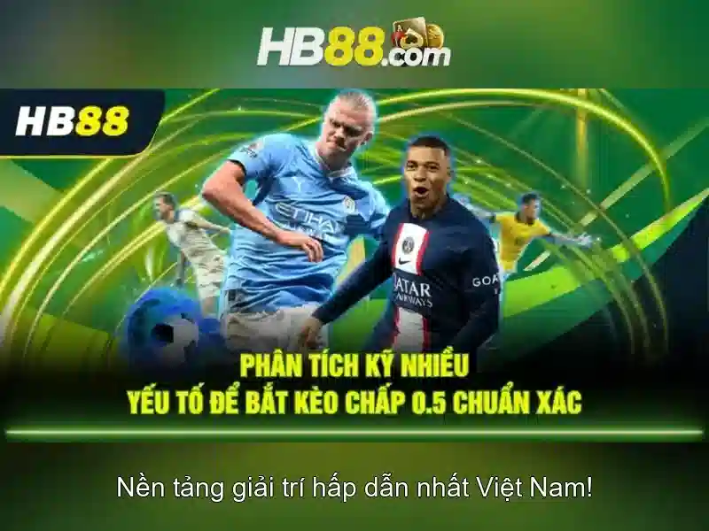 Đặc Điểm Nổi Bật