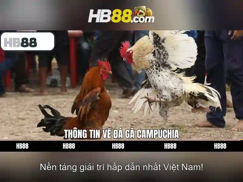 Tải HB88 apk