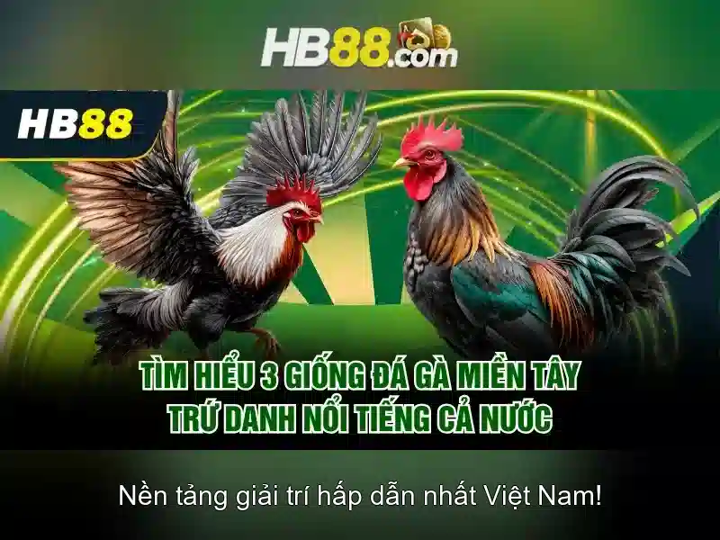 slot trực tuyến hb88
