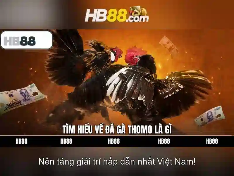 Khám Phá Nền Tảng HB88