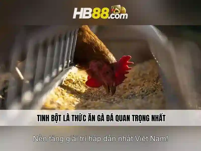 Trải Nghiệm Slot HB88