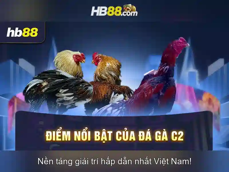 HB88 – Nền Tảng Slot Đa Dạng Với Tỷ Lệ Thưởng Hấp Dẫn