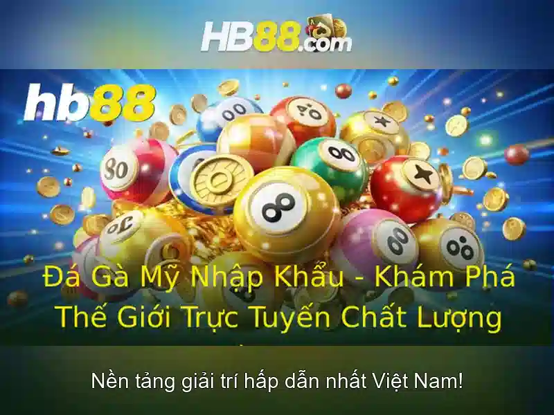 Khuyến Mãi Hấp Dẫn Cho Thành Viên Mới
