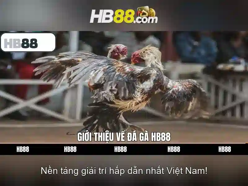 tại sao cần mật khẩu hb88