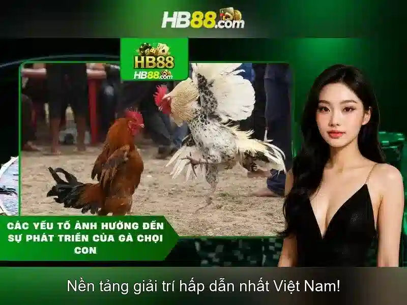 Trải Nghiệm Chơi SLOT Trên Link Tại HB88