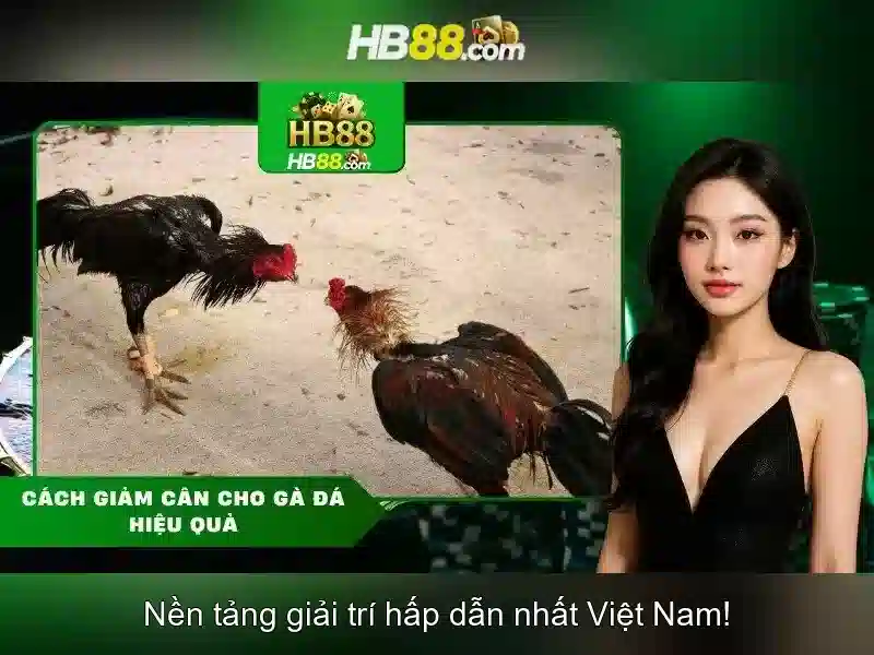 Link tại HB88 – Hướng Dẫn Truy Cập Trang Chủ HB88 Chuyên Nghiệp