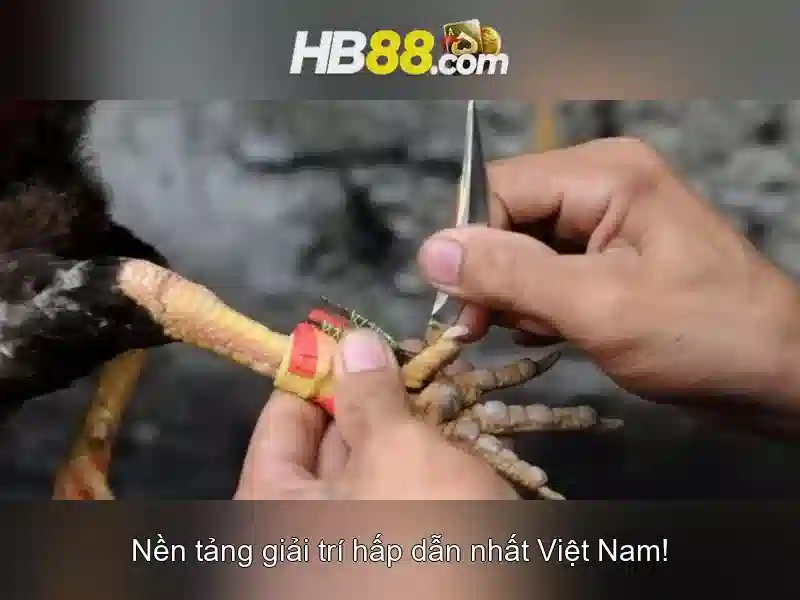 HB88 – Trang Chủ Slot Cao Cấp Với Ưu Đãi Hấp Dẫn 2026