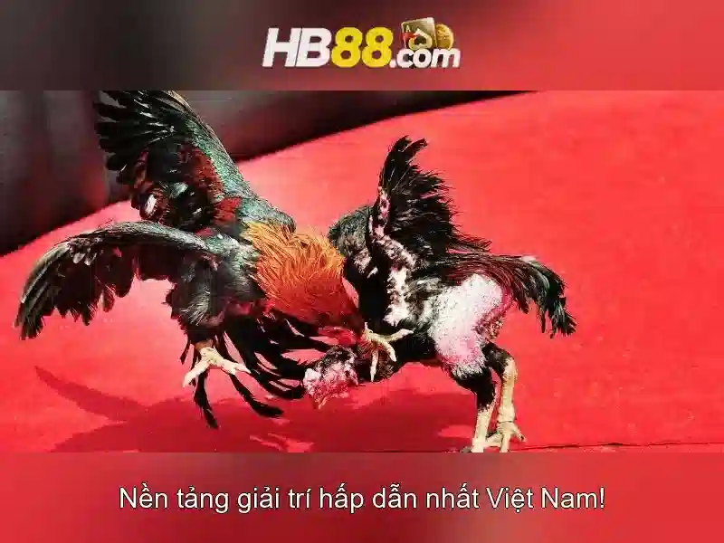 Đăng Ký Tài Khoản