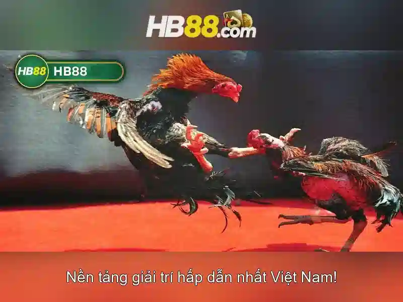 Hỗ trợ khách hàng HB88