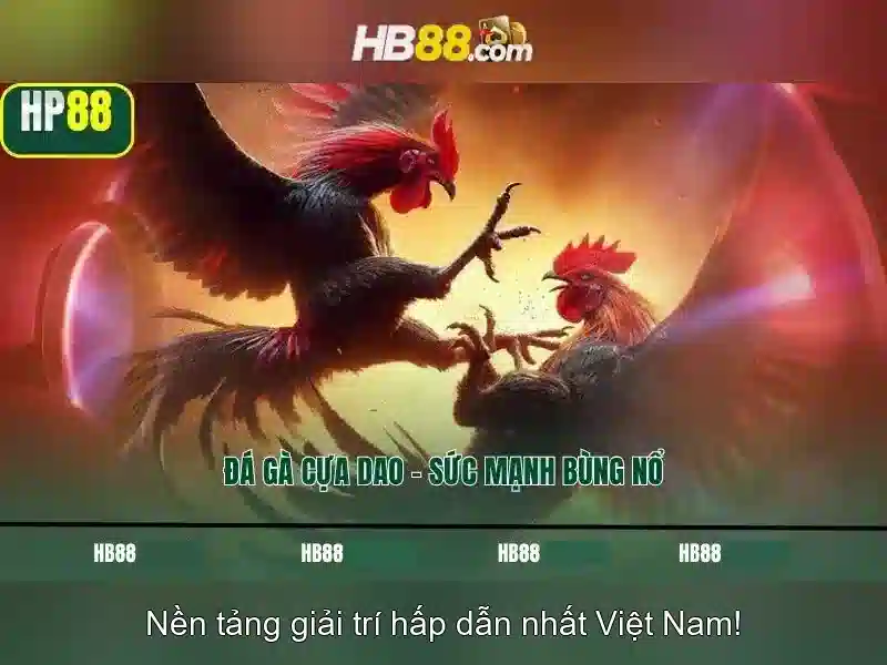 HB88 Web – Dịch vụ cá cược chuyên nghiệp